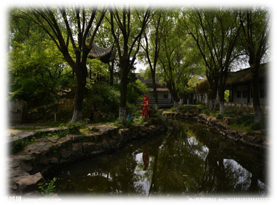 天朗資訊之林木型庭院