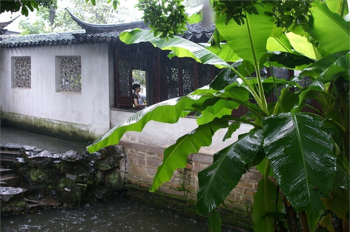 景觀設計之城市水濱景觀植物造景手法