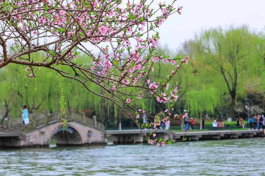 園林景觀設(shè)計(jì)之鄉(xiāng)土植物與地方特色園林景觀